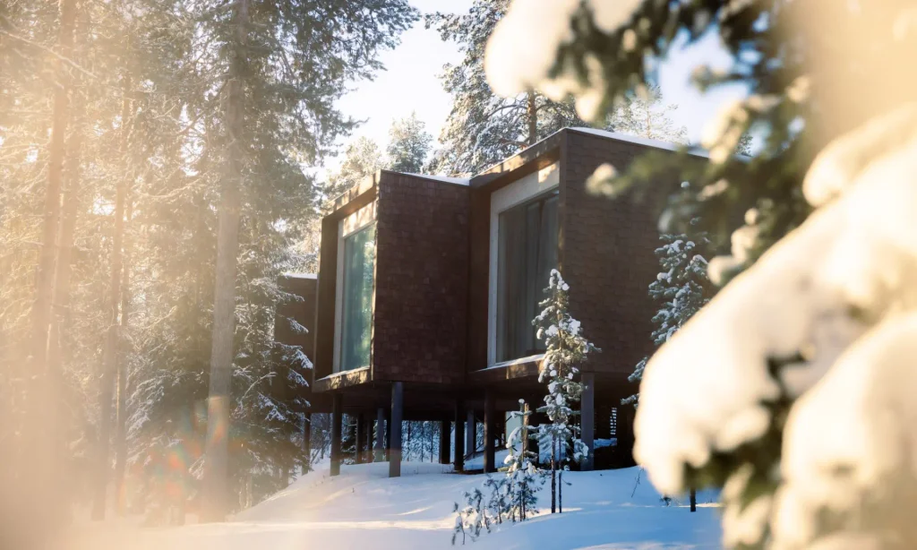 Arctic TreeHouse Suite
