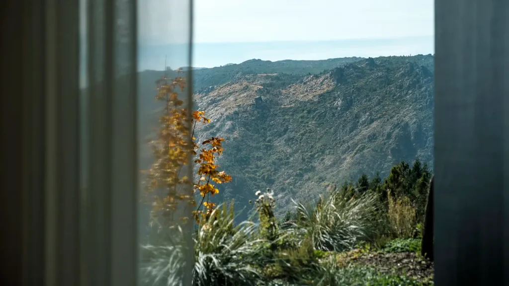 Comfort Mountain Suite