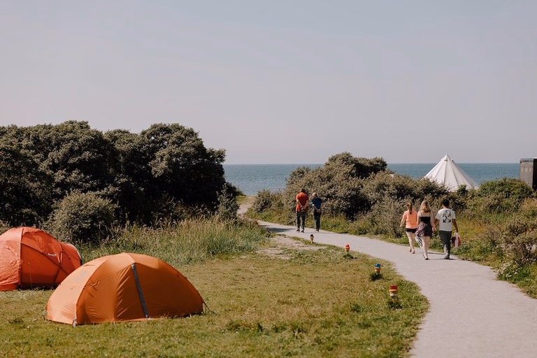 Tent Pitch