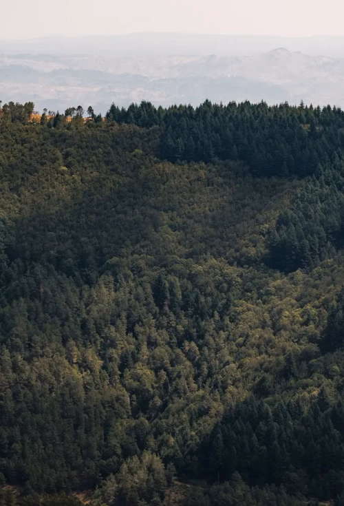 Comfort Mountain Plus