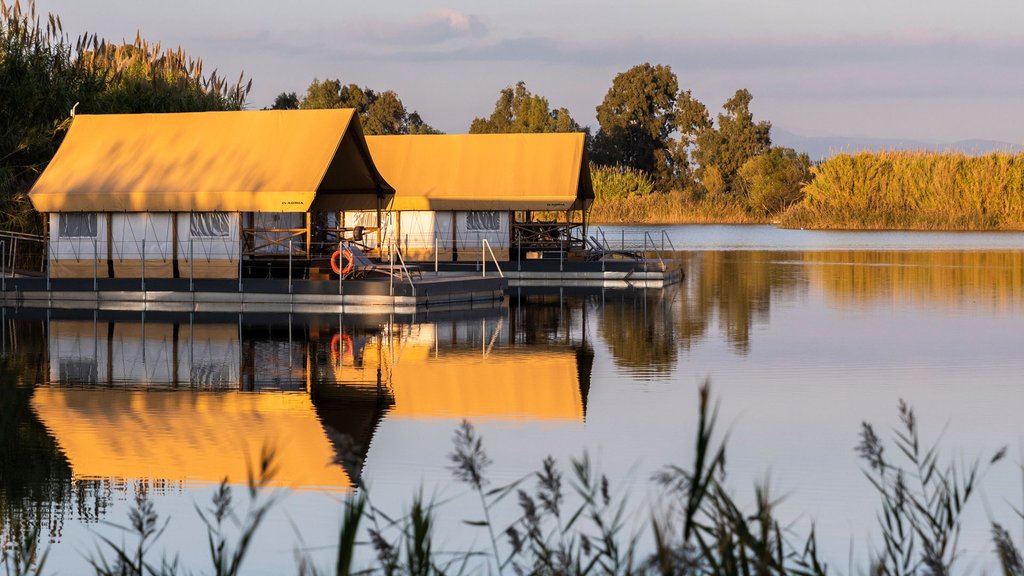 Safari Tent