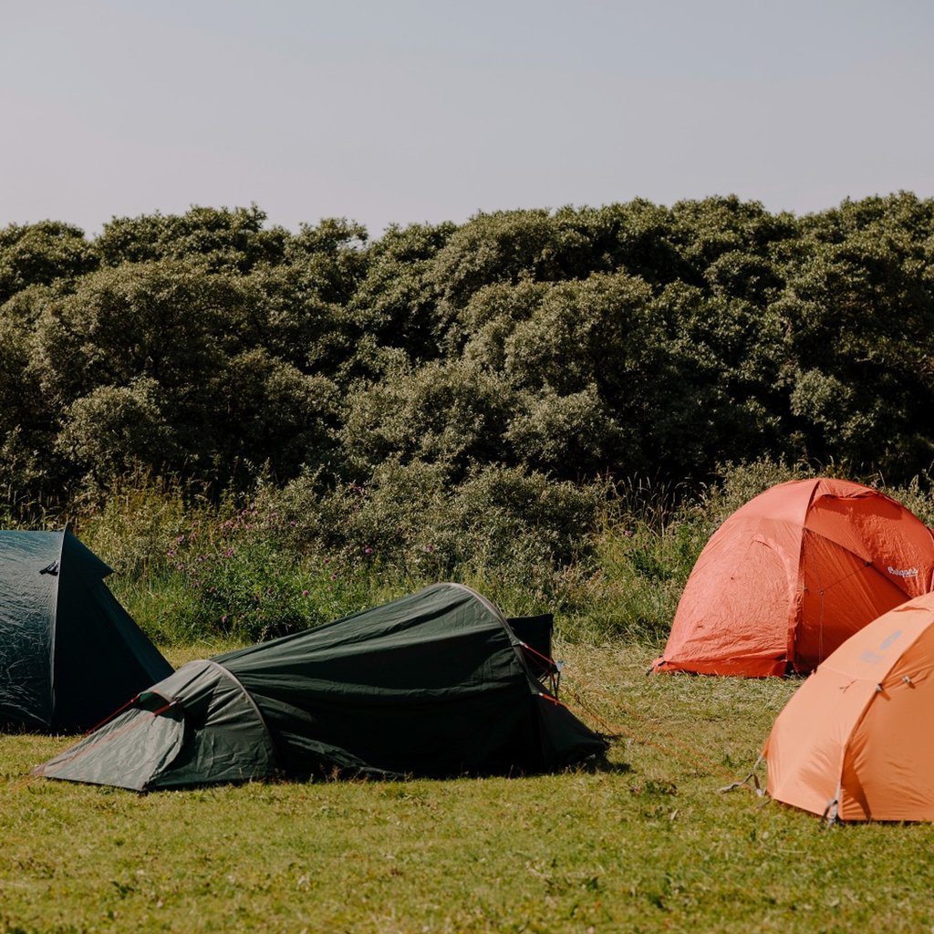 Tent Pitch