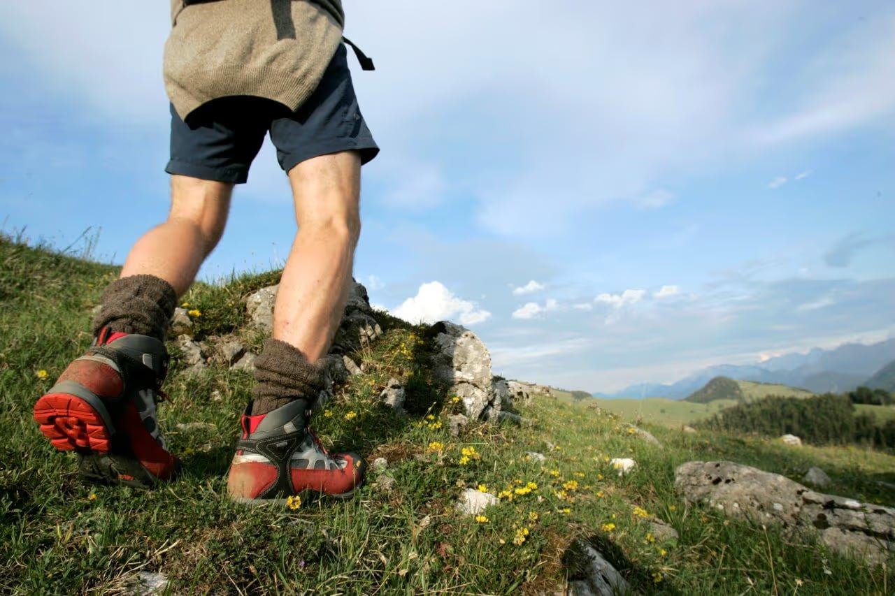 Gallery image 2