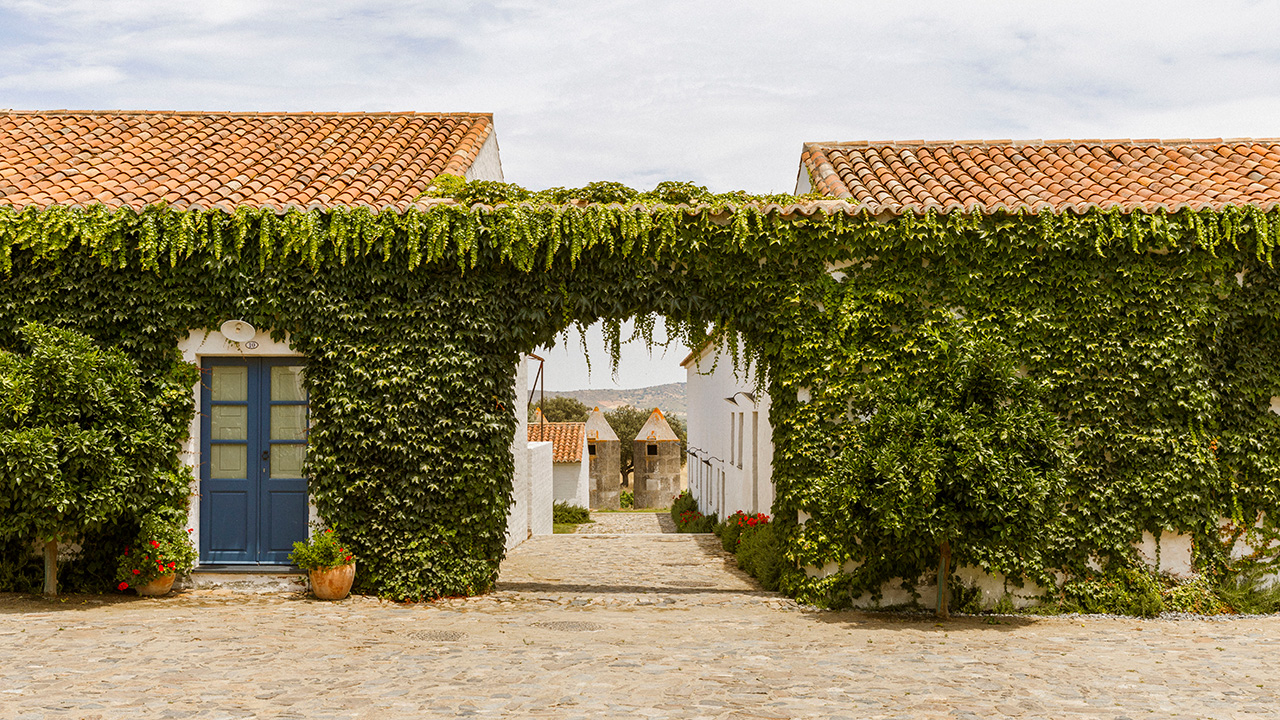 Hotel image 11