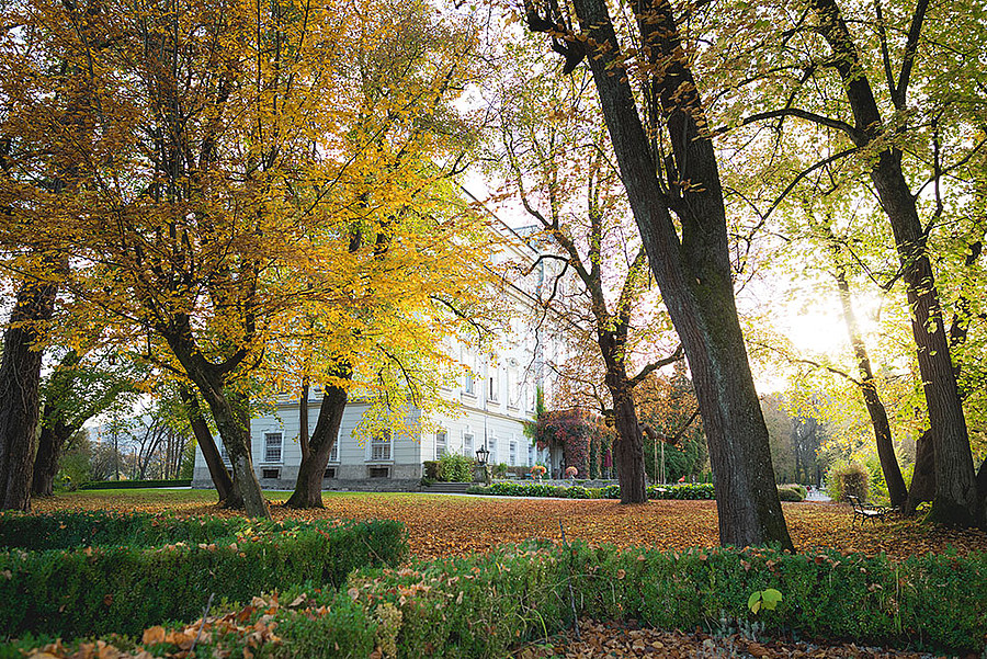 Hotel image 15