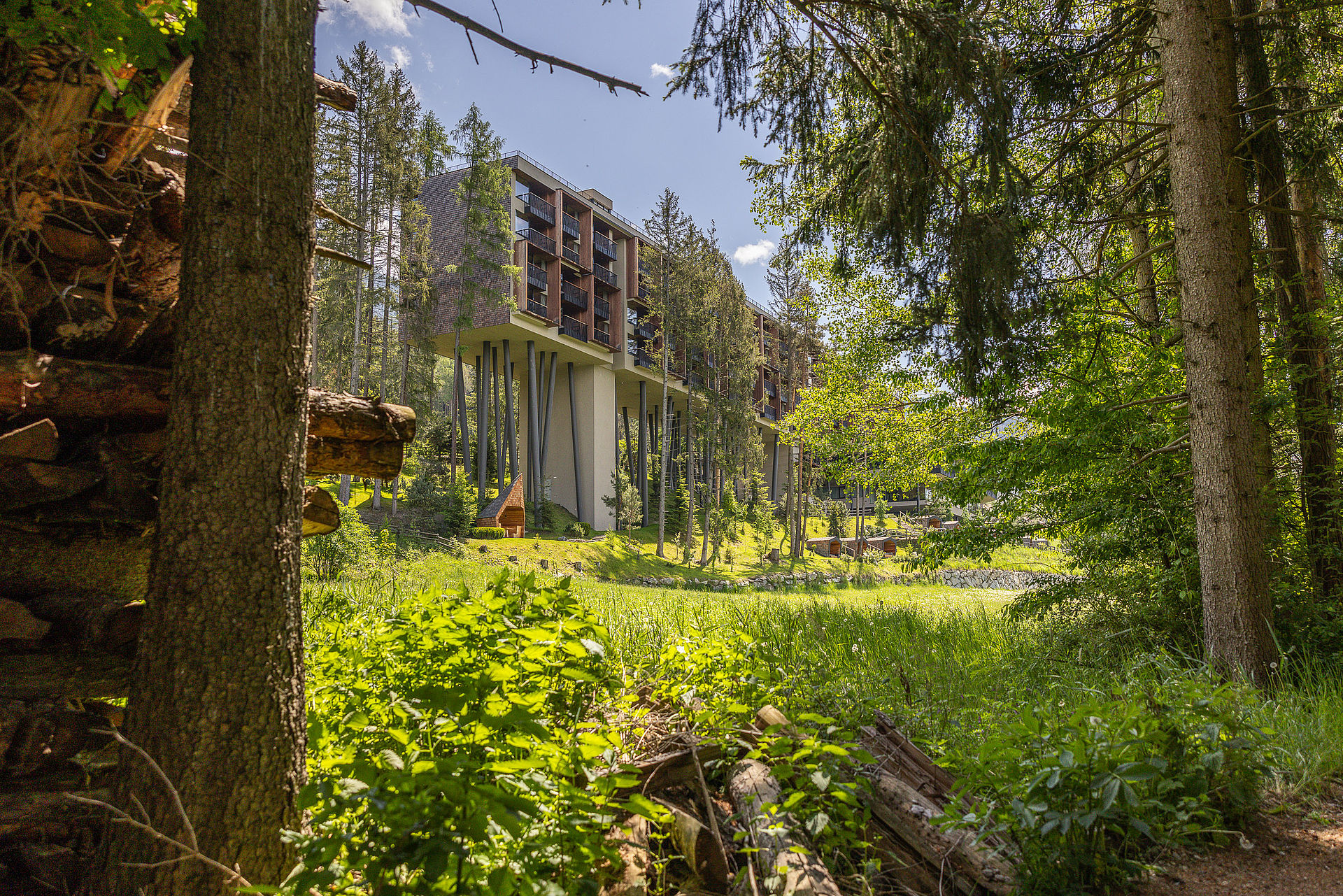 Hotel image 7