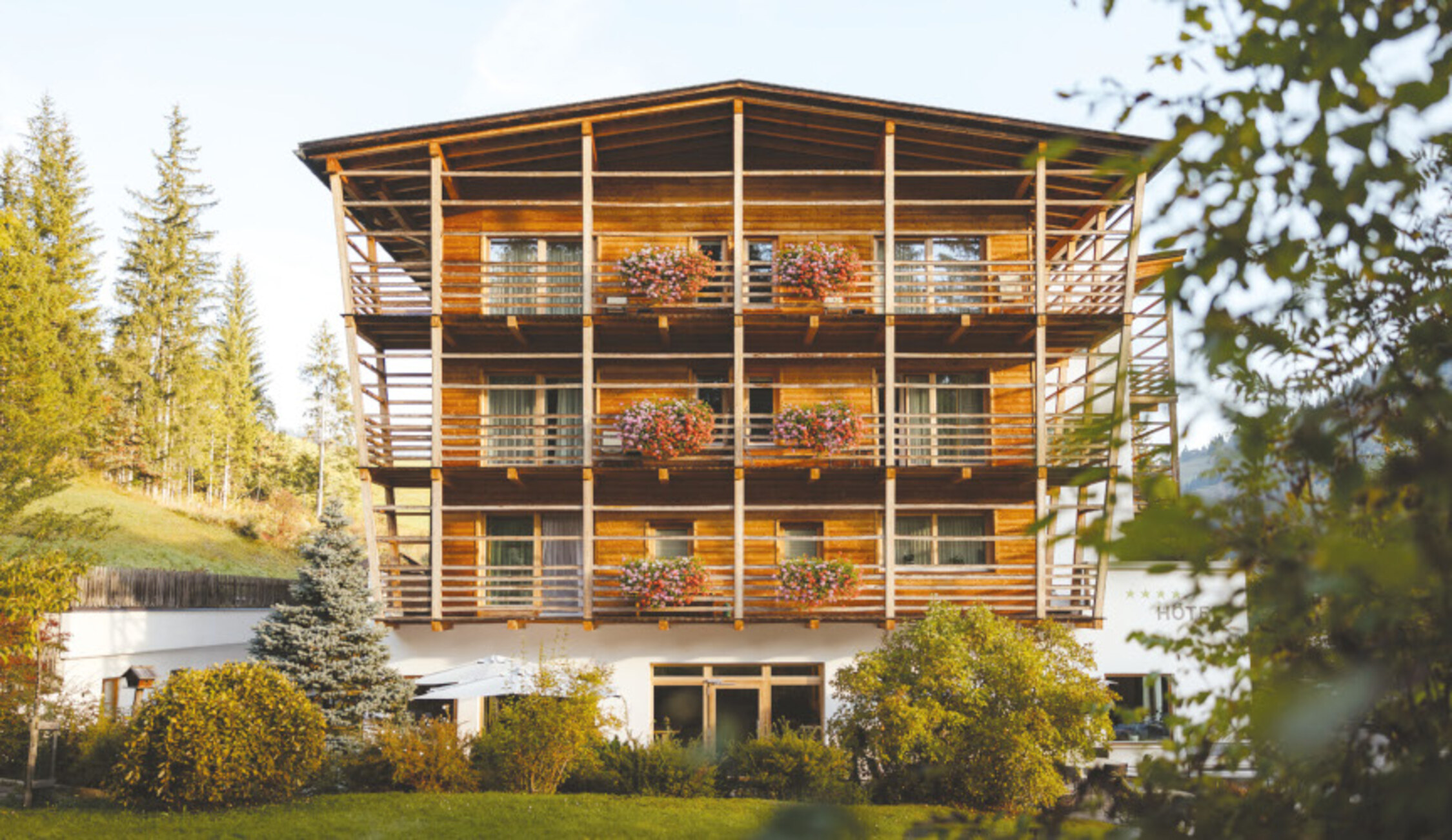 Hotel image 13