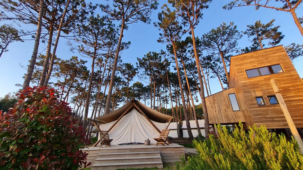 Hotel image 8