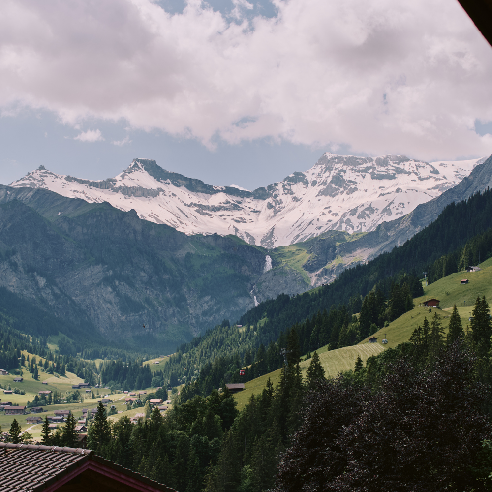 Hotel image 11