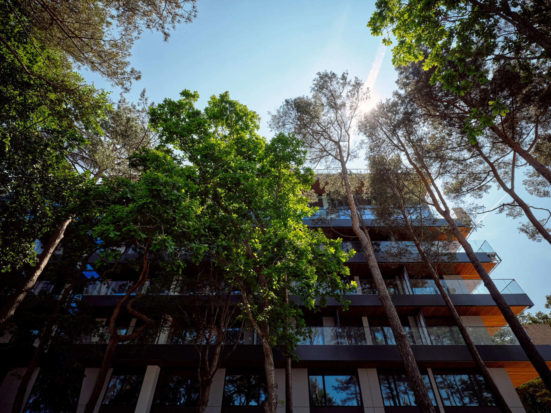 Hotel image 11