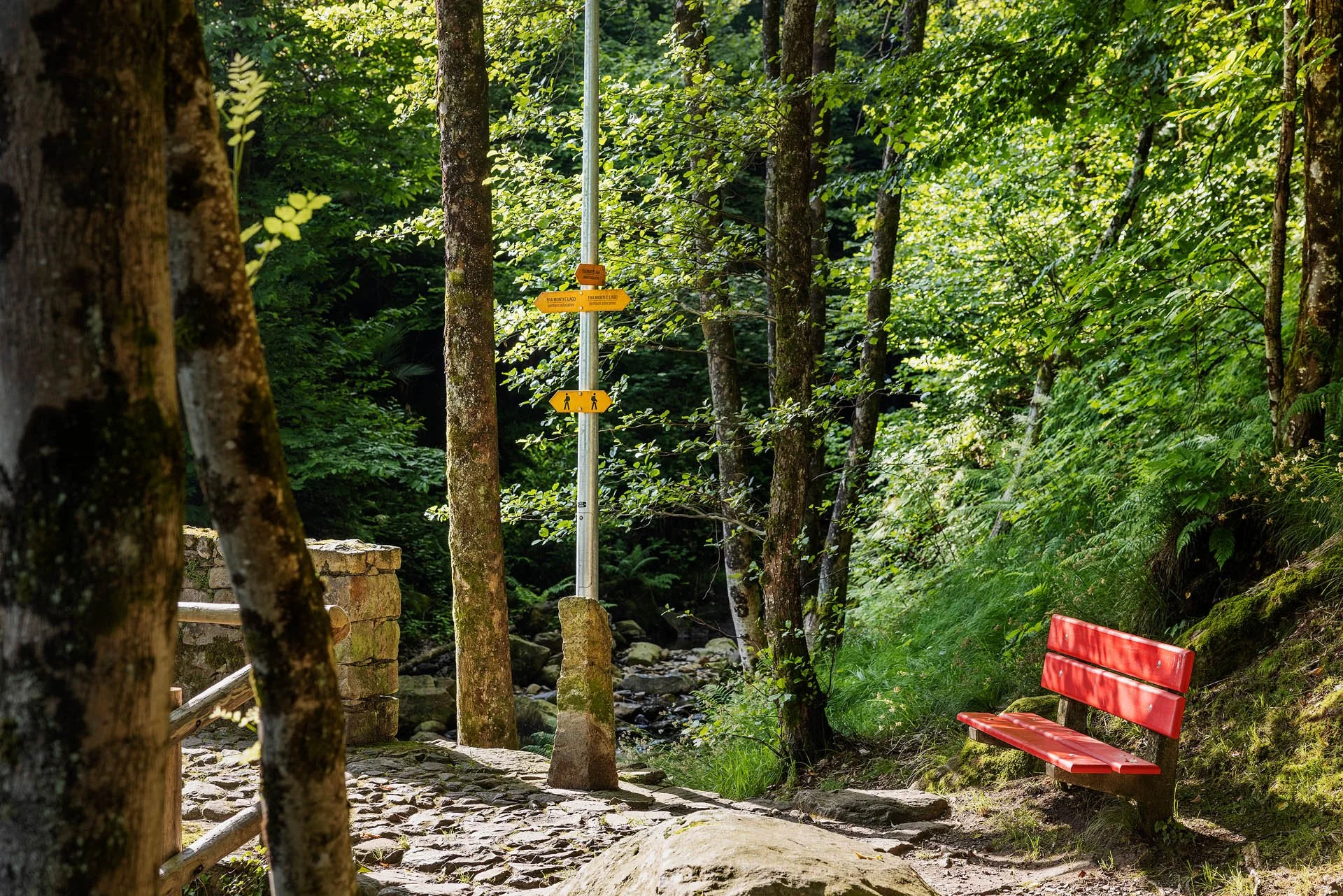 Gallery image 4