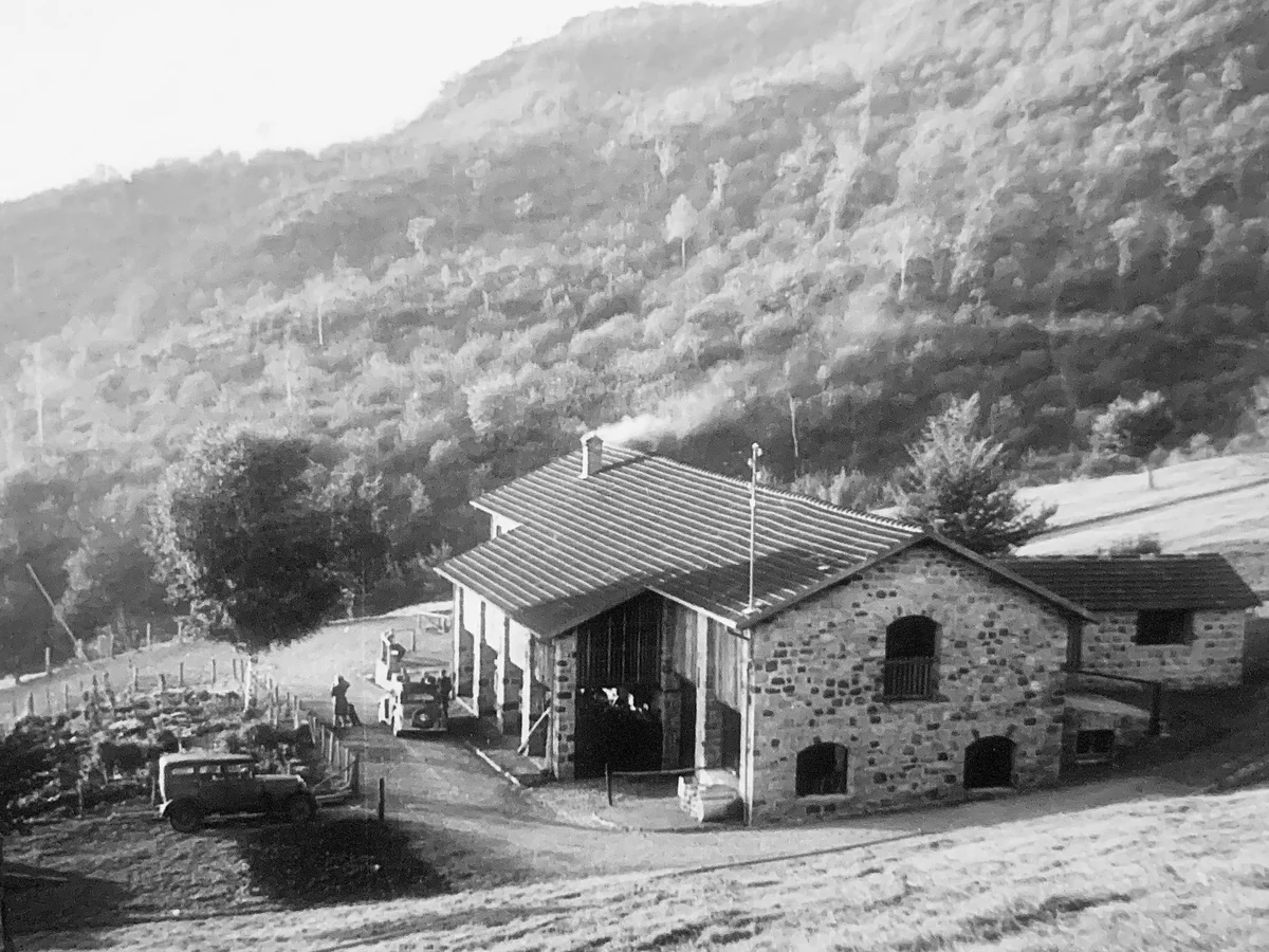 Hotel image 13