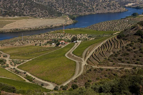 Quinta de La Rosa