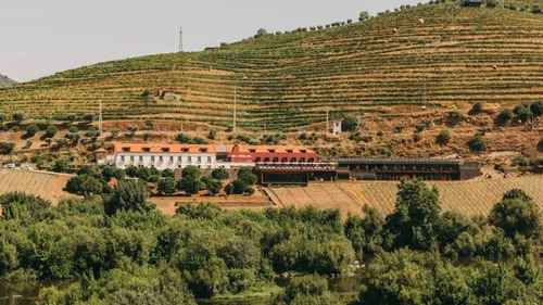Torel Quinta da Vacaria
