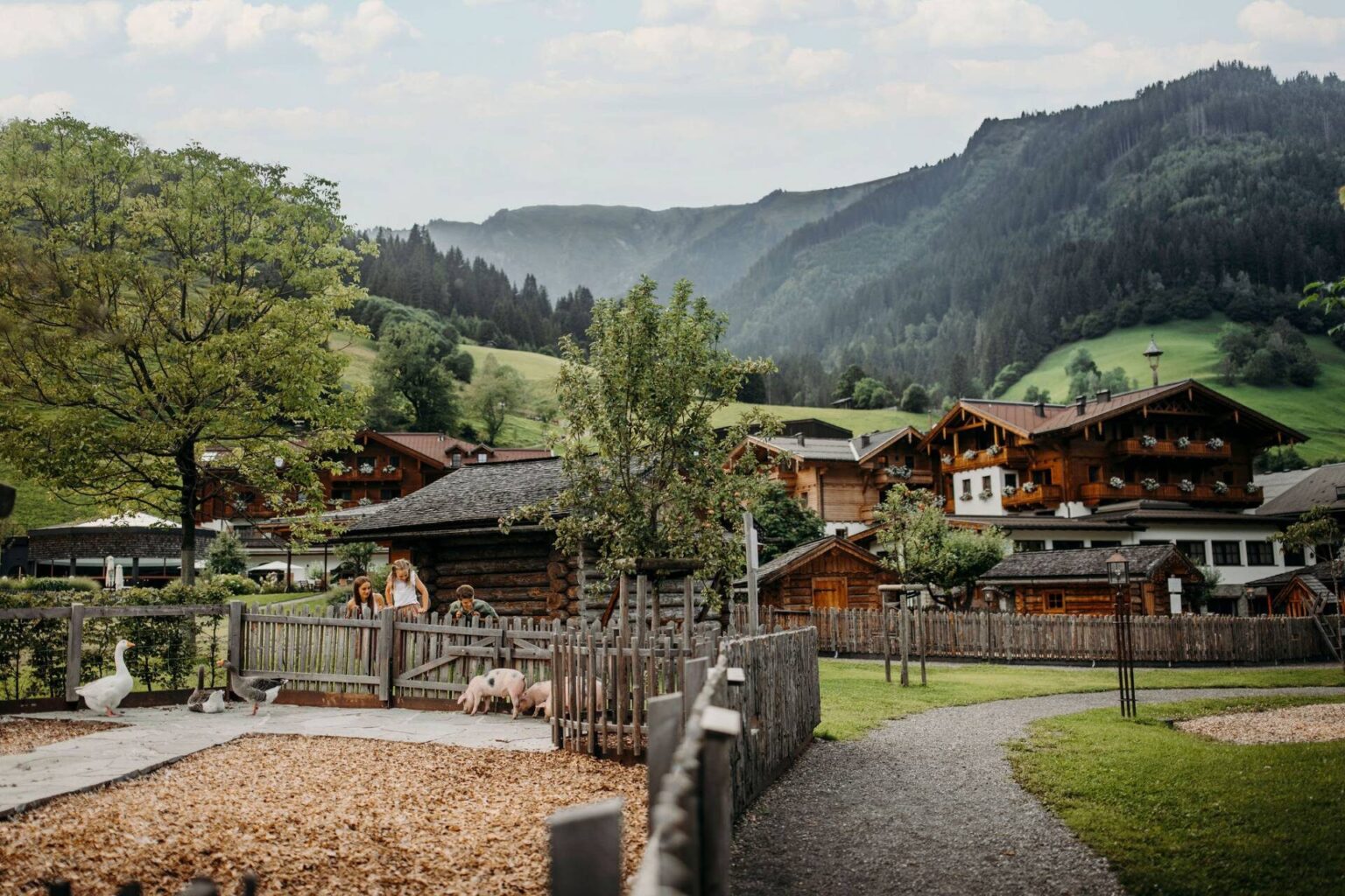 Hotel image 7