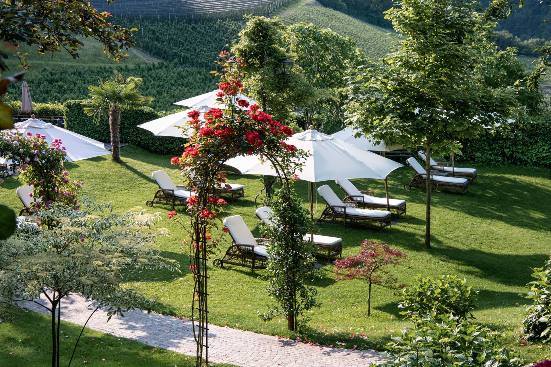 Hotel image 8