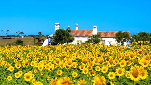 Herdade do Touril