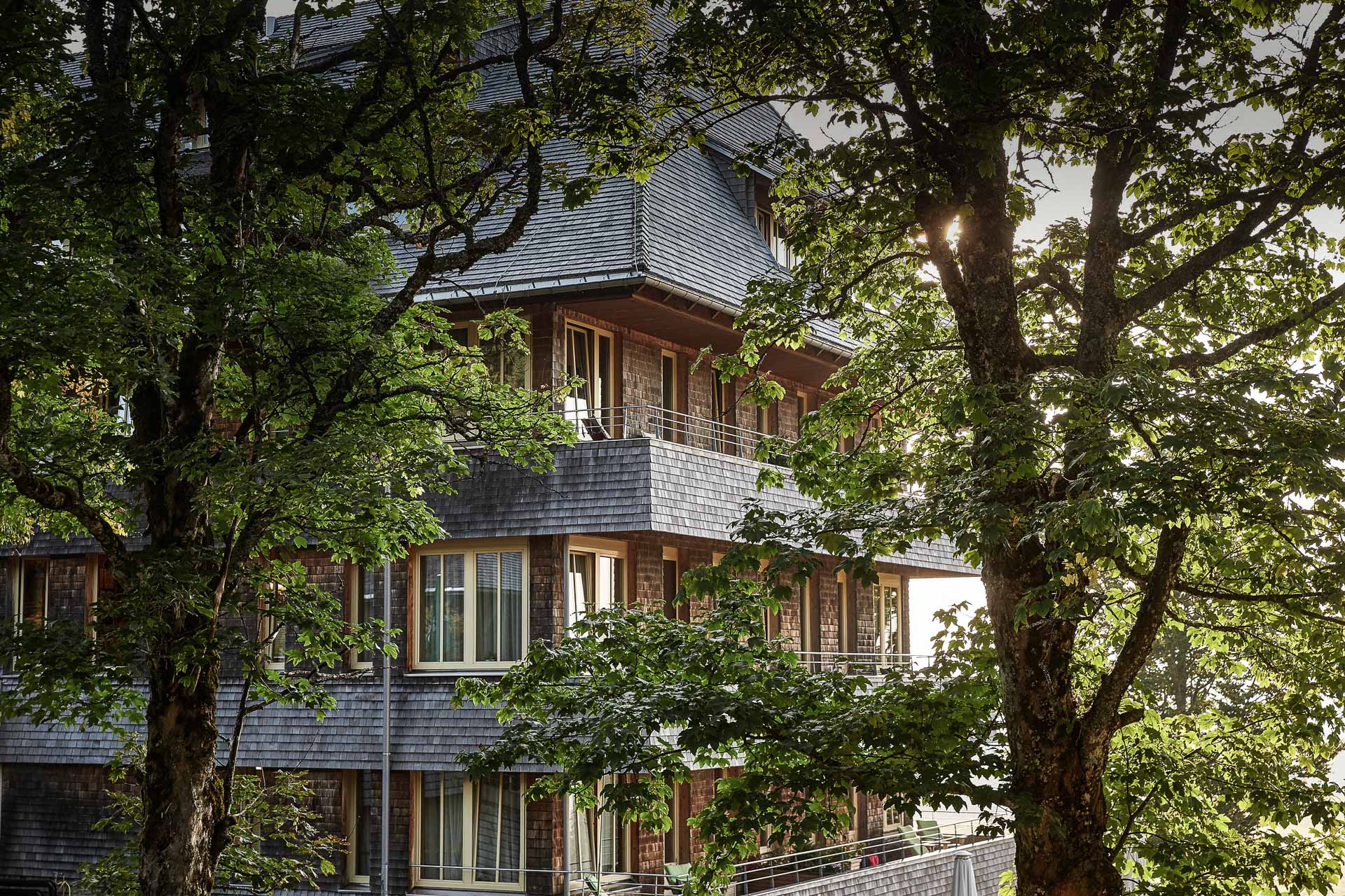 Hotel image 3