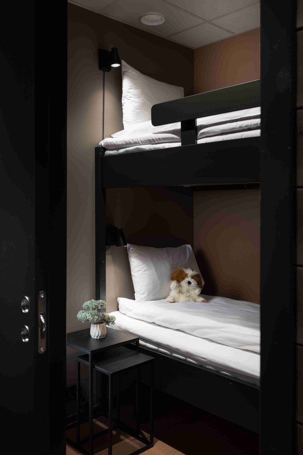One-Bedroom Apartment with Alcove