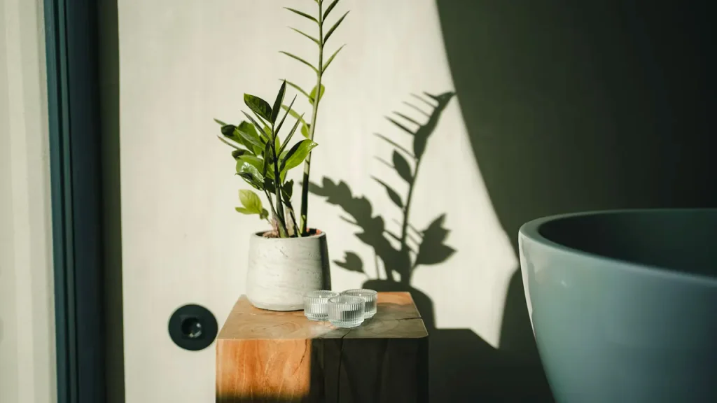 Room Gruta