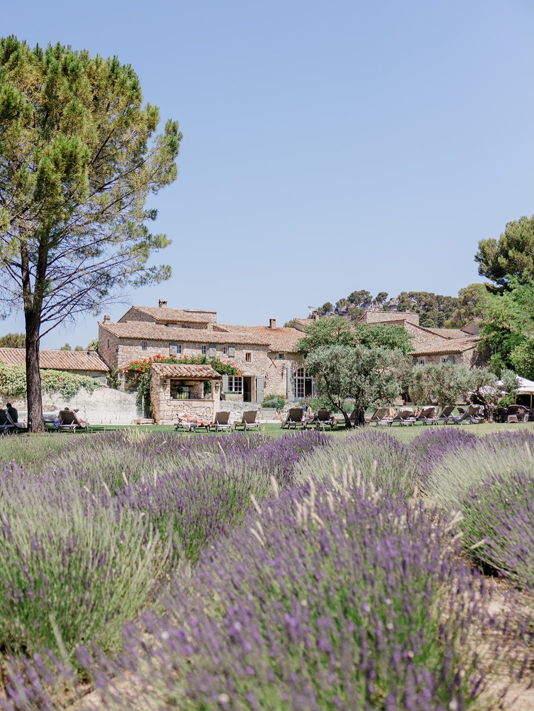 Hotel image 7