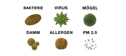 Illustration av olika partiklar som Mitsubishi Electrics luftreningsteknik kan filtrera bort: bakterie, virus, mögel, damm, allergen och PM 2.5. Dessa symboliserar föroreningar som påverkar luftkvaliteten och som effektivt avlägsnas av systemet.