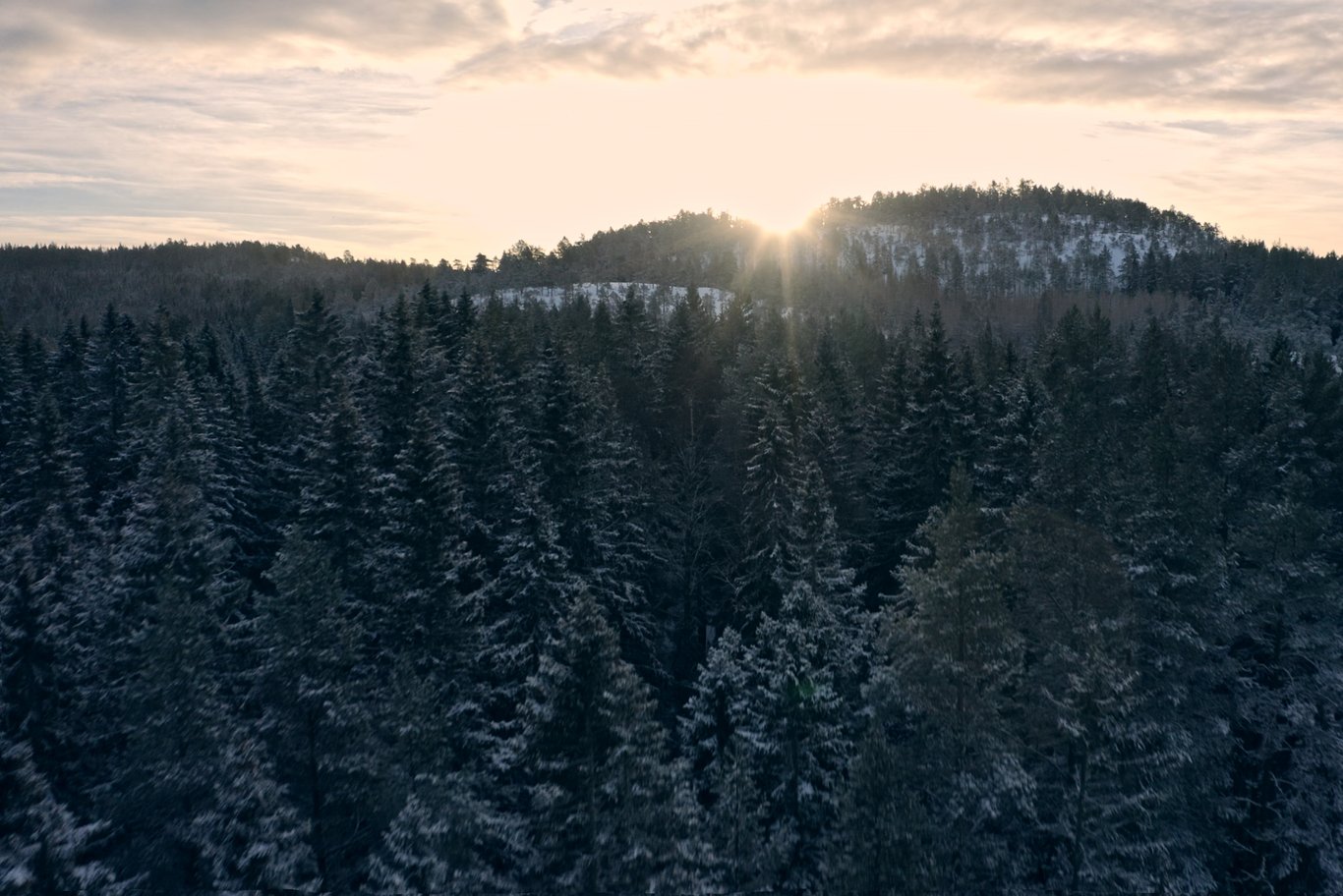 Snötäckt skandinavisk skog vid soluppgång, där ljuset strilar genom träden, vilket illustrerar den naturliga miljön som Mitsubishi Electrics system är byggda för att tåla och ge värme och energieffektivitet i kalla klimat.