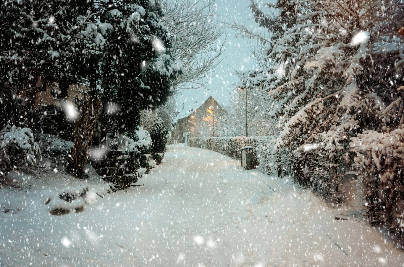 Snön vräker ner i ett snötäckt villakvarter.