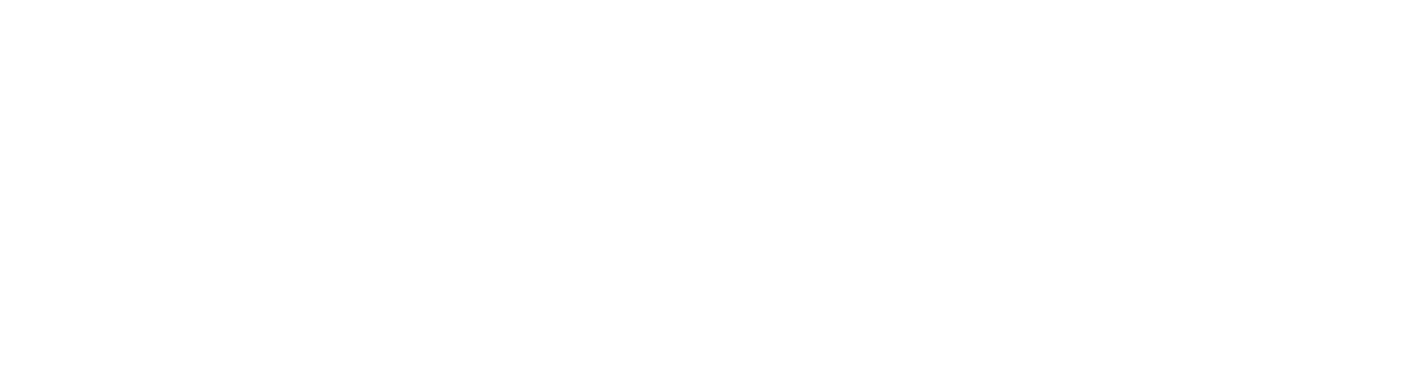 Snowball Digital logo