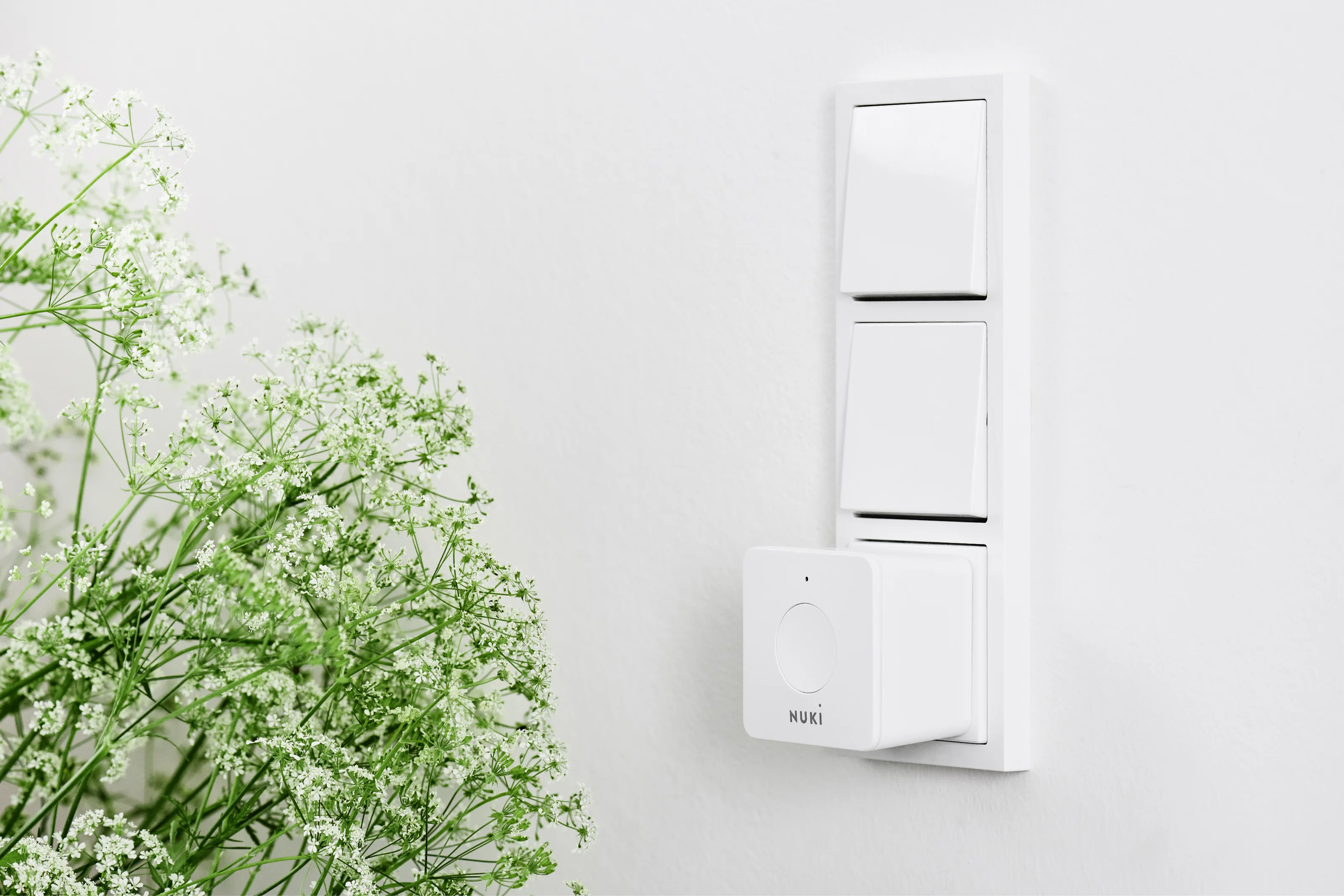 Nuki Bridge plugged into a wall socket next to a plant.