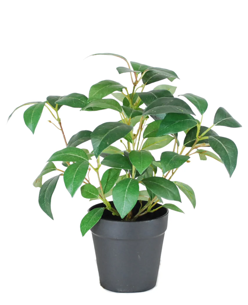 Kunstig Jasminplante i Potte UV 25cm