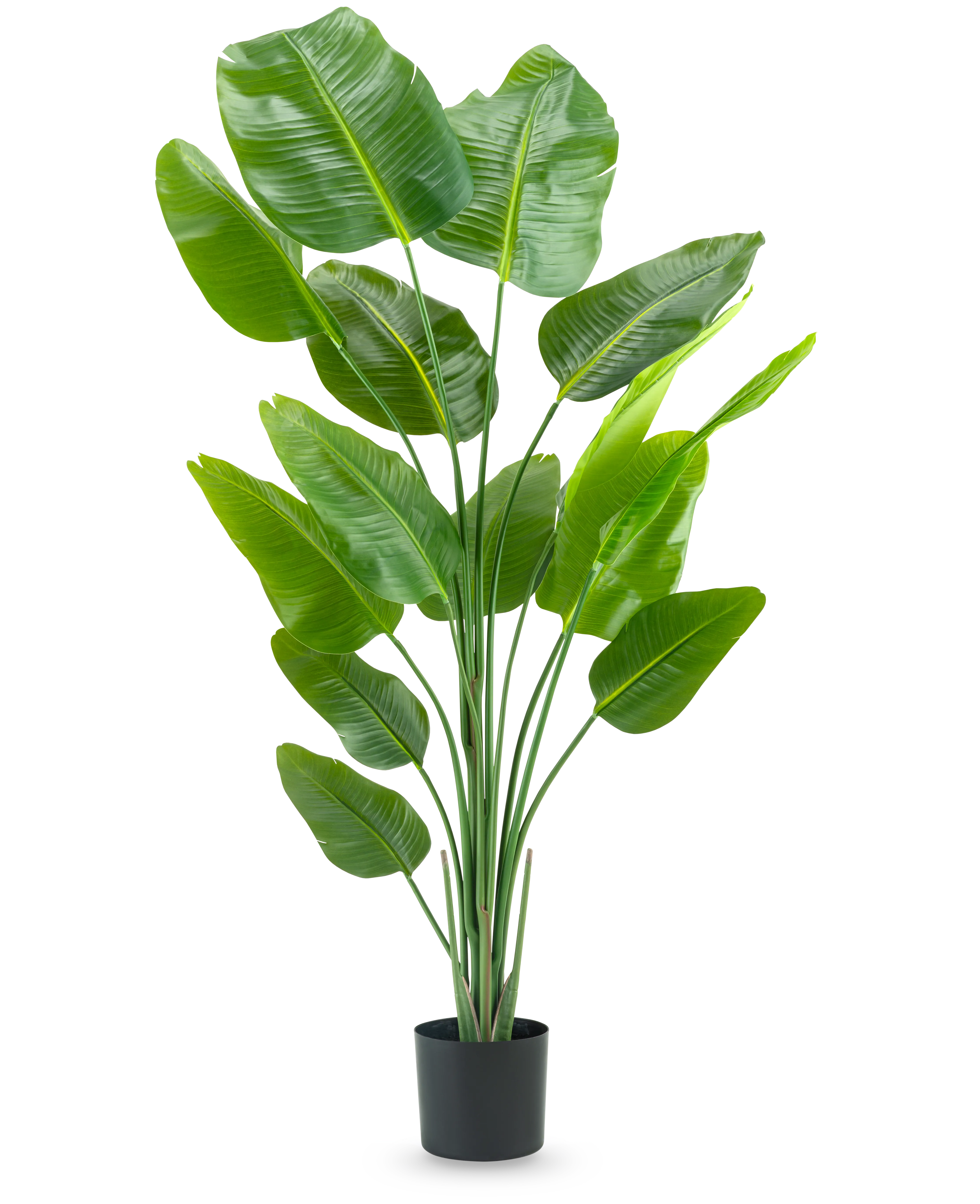 Kunstig Strelitzia Real Touch 180 cm