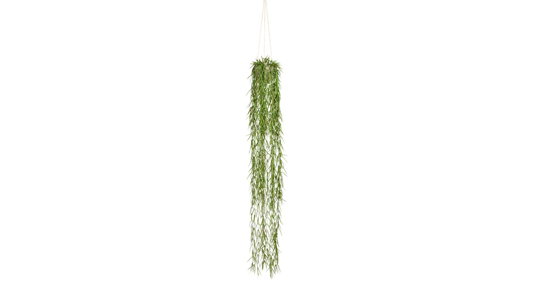 Kunstig Tillandsia Aeranthos 120