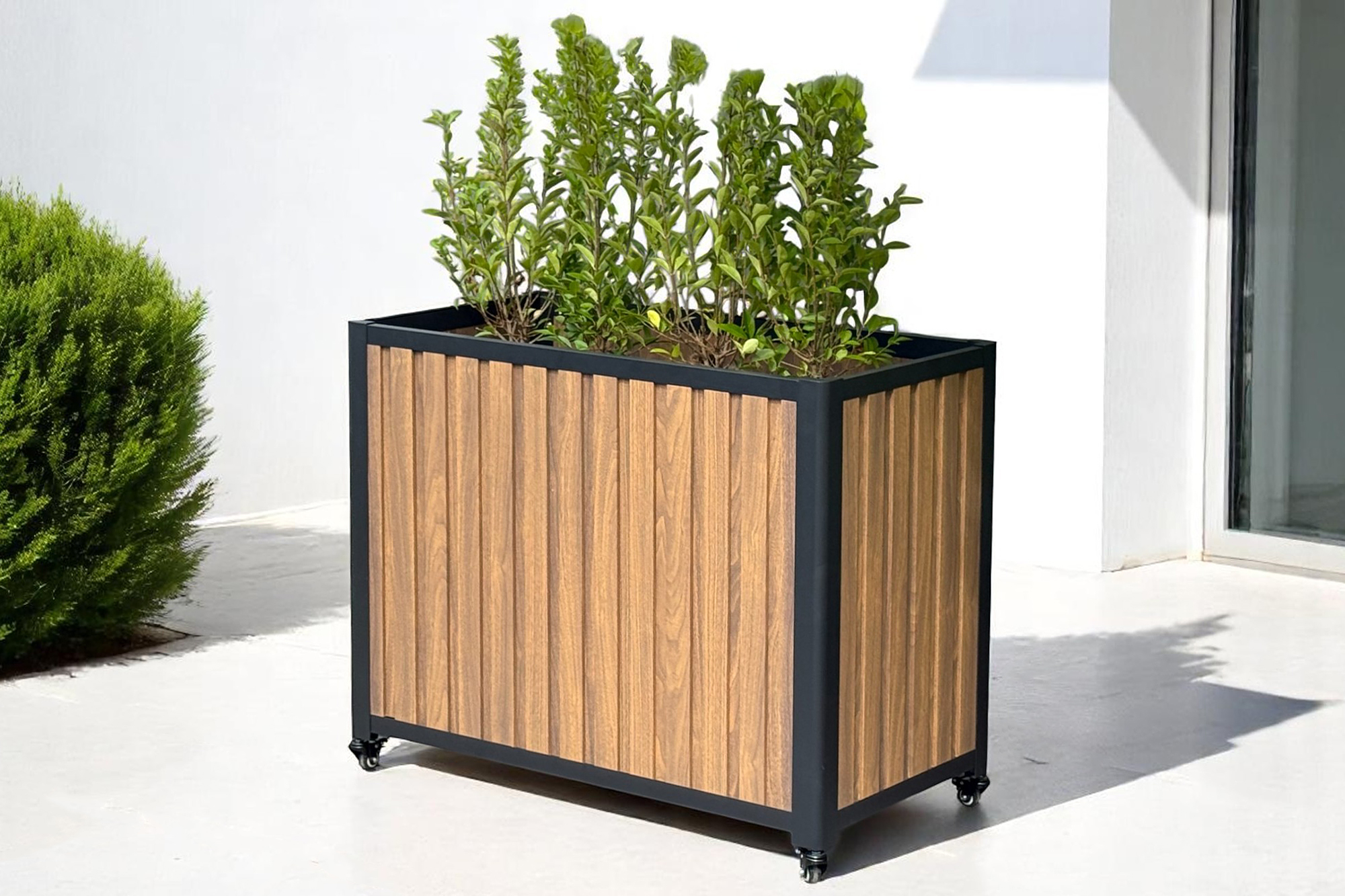 Plantekasse