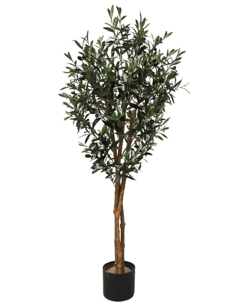 Kunstig Oliventre Slim  m/Oliven UV 120 cm