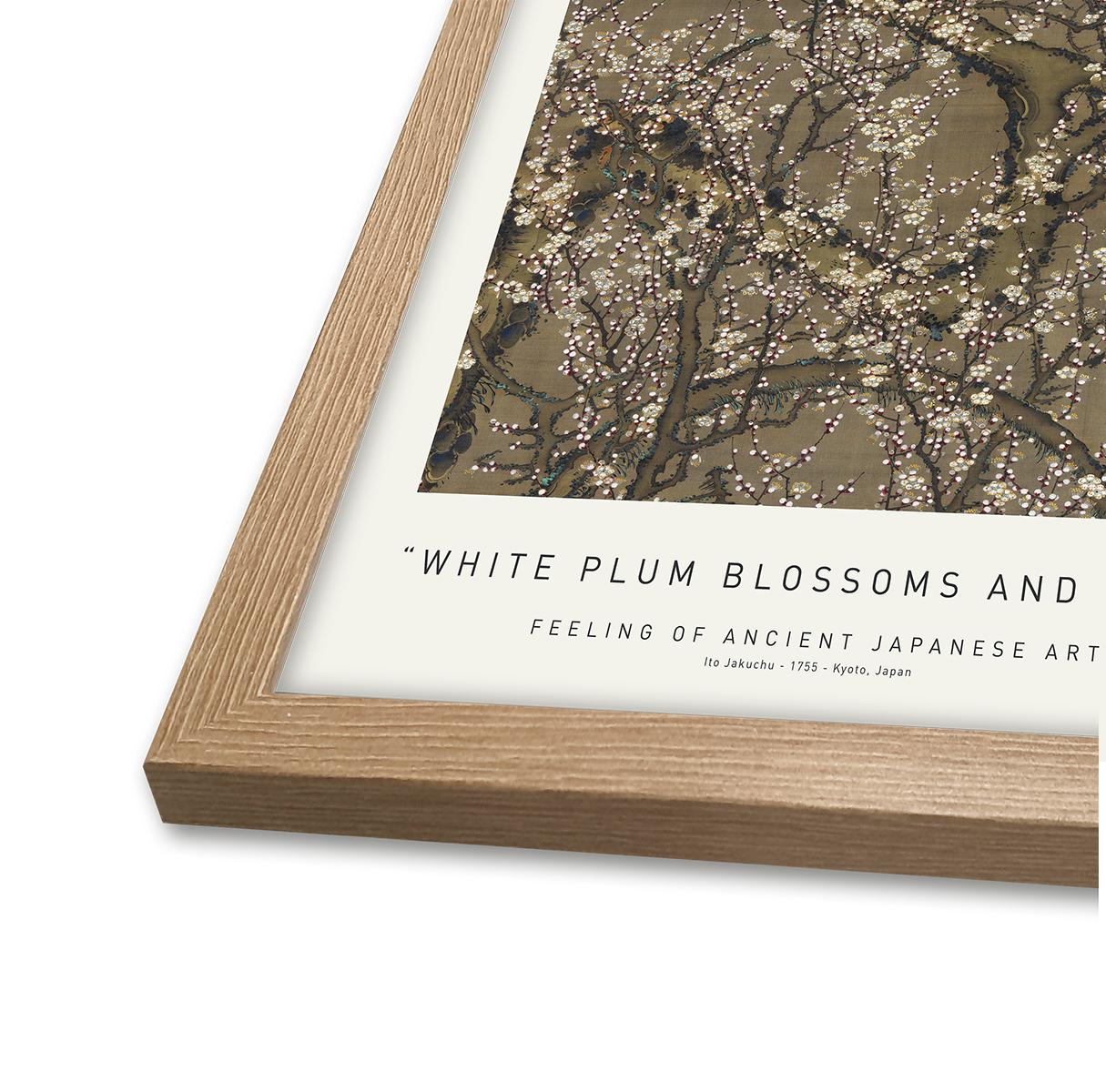 White Plum Blossoms And Moon 50 x 70