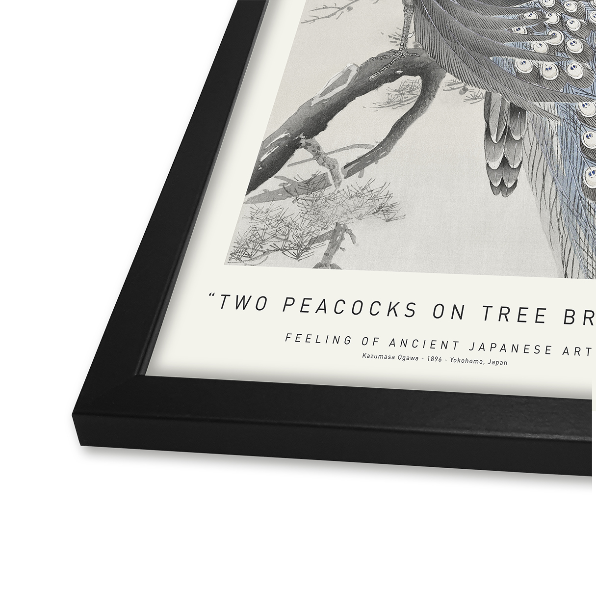 Two Peacocks On Tree Branch 50 x 70