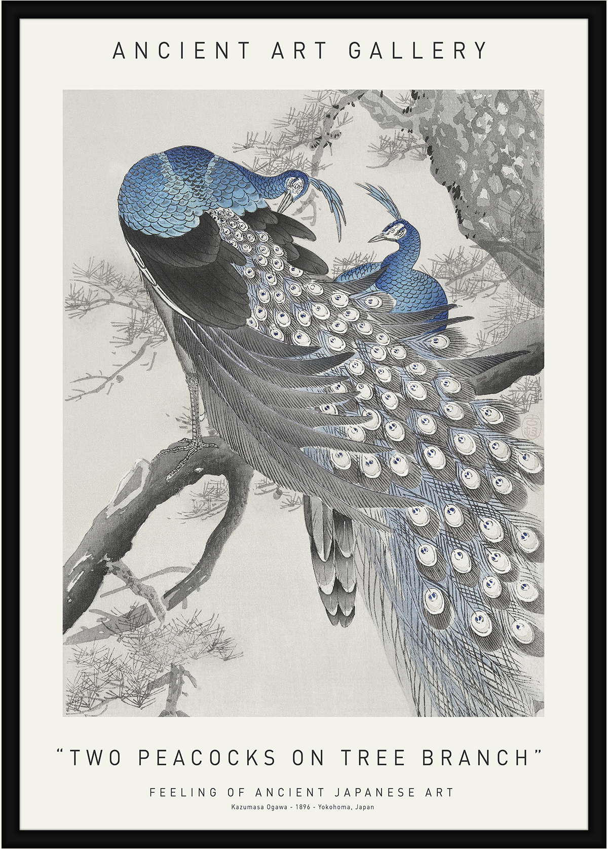 Two Peacocks On Tree Branch 50 x 70