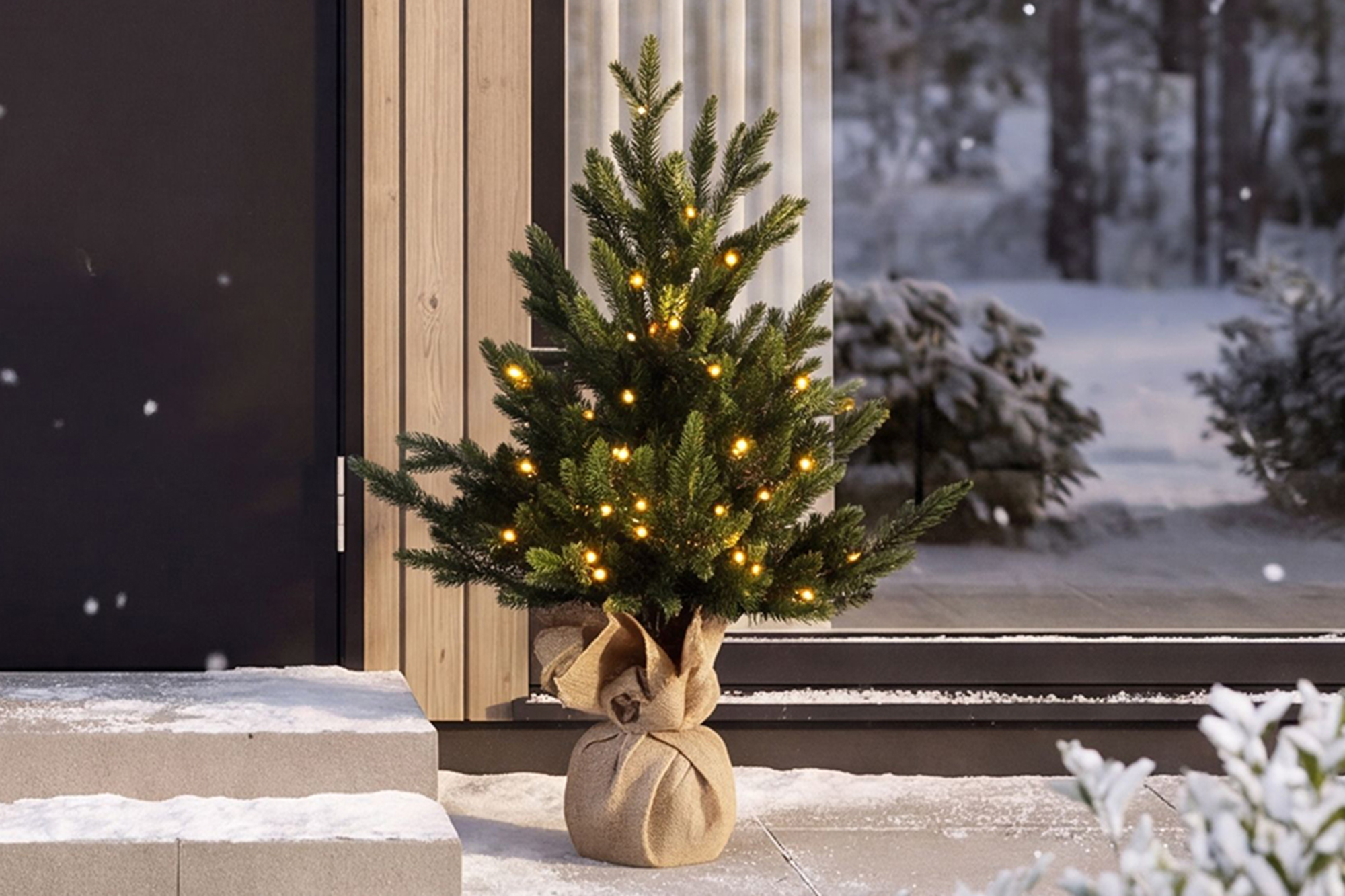 Fjellgran  i potte 60cm