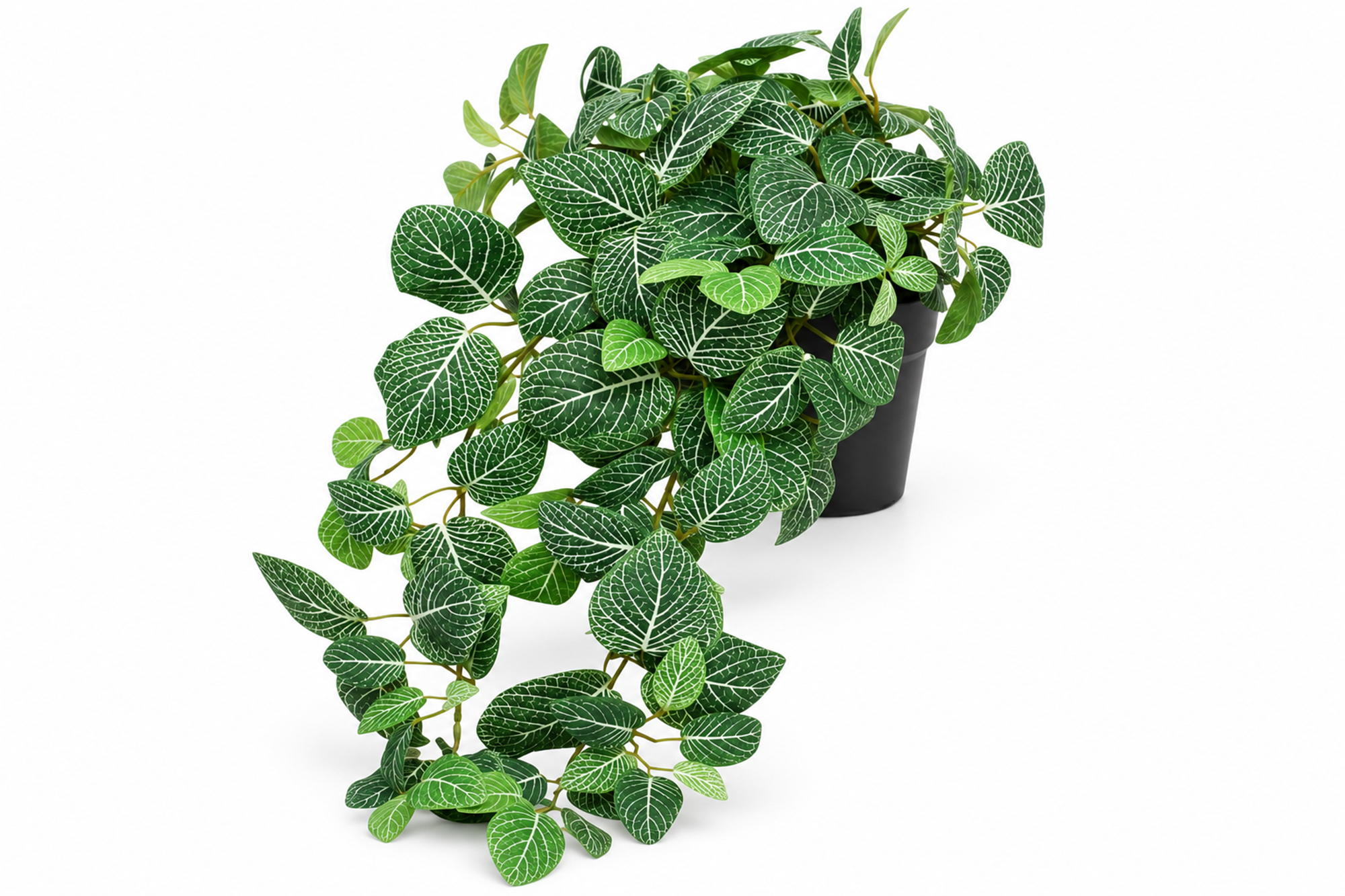 Kunstig Hengeplante Fittonia Grønnhvit i Potte UV 60cm
