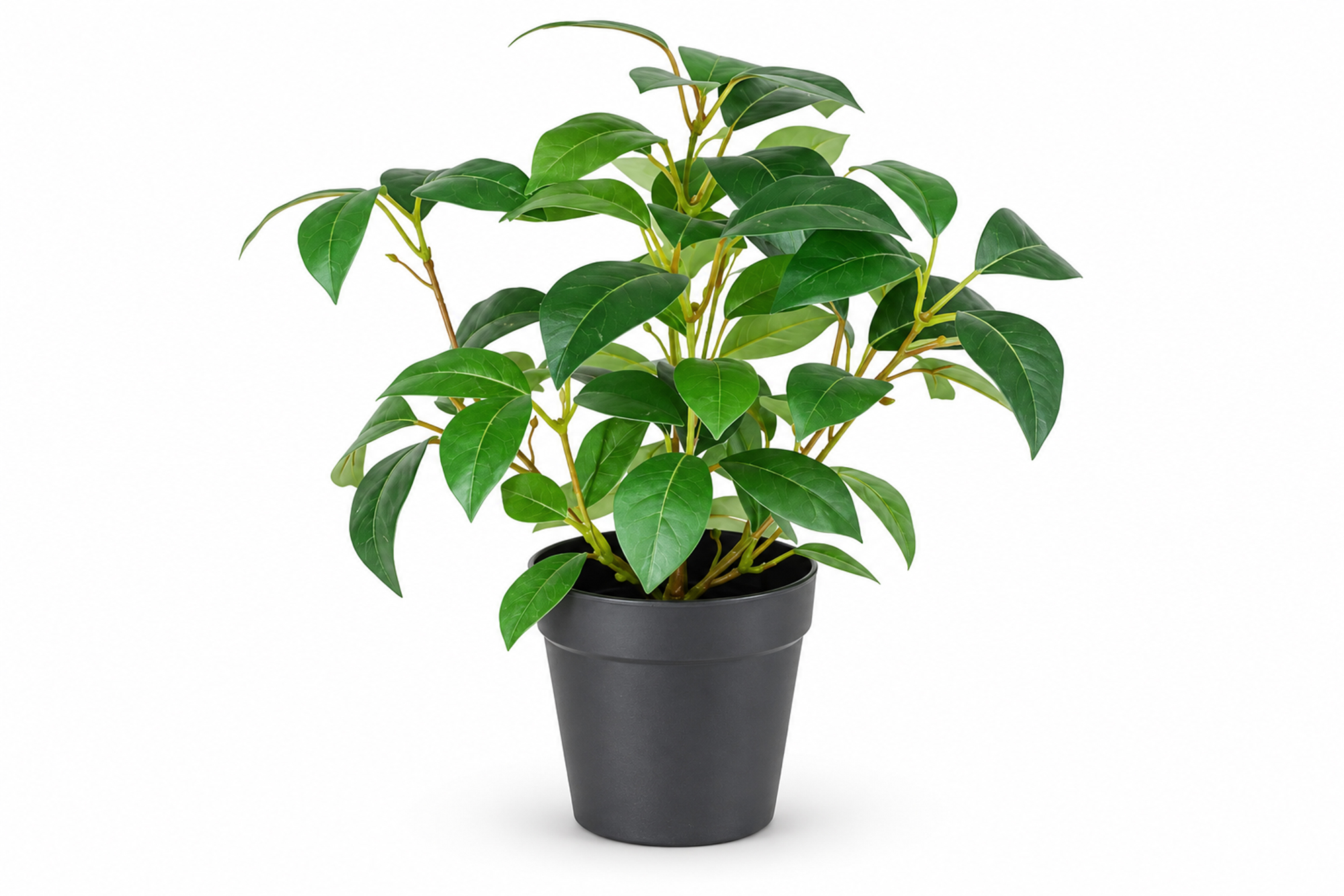 Kunstig Jasminplante i Potte UV 25cm