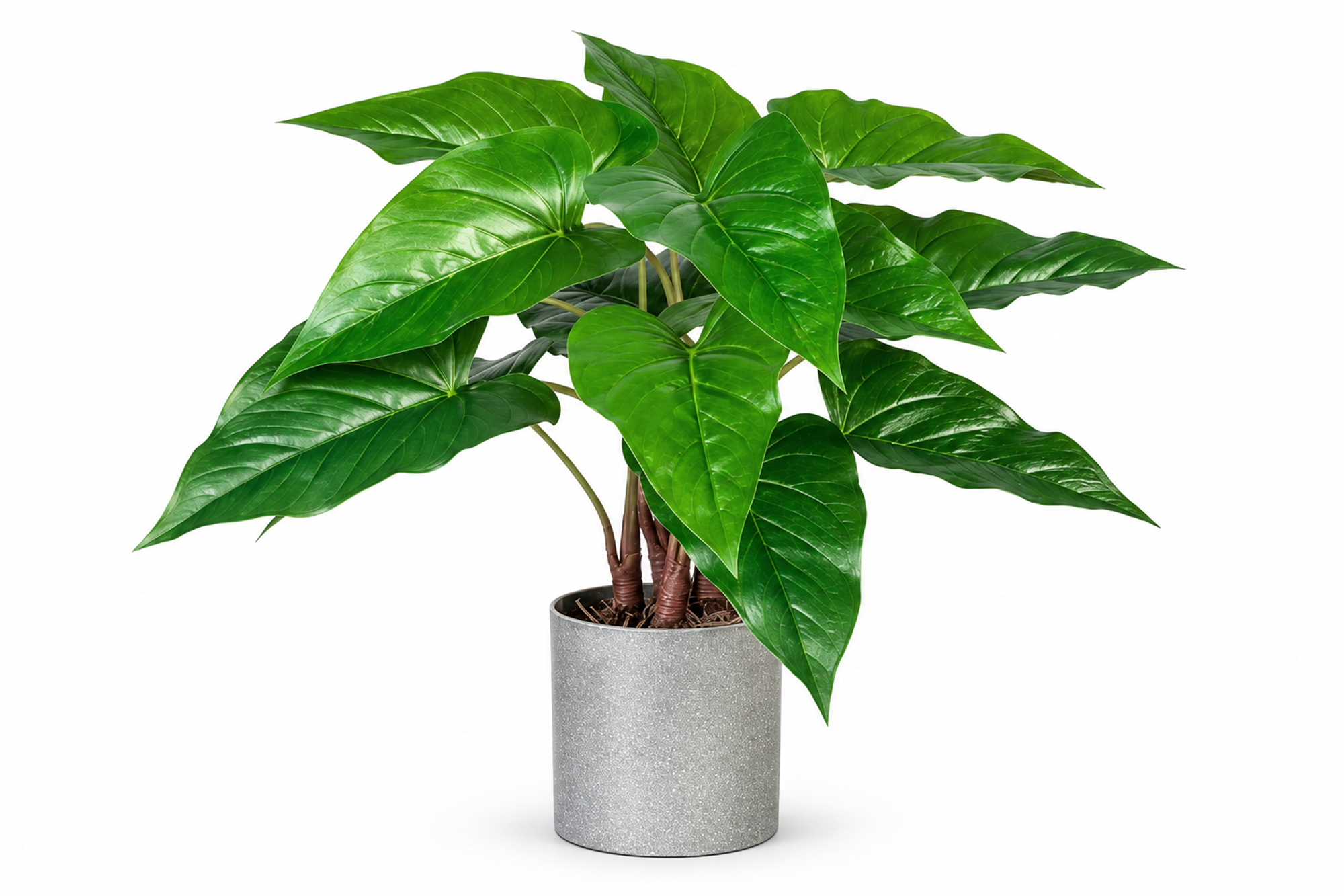 Kunstig Anthurium 40cm