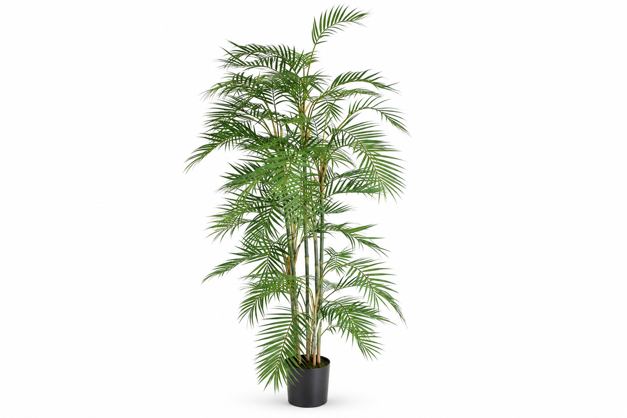 Kunstig Areca Fjær-Palme 180 cm