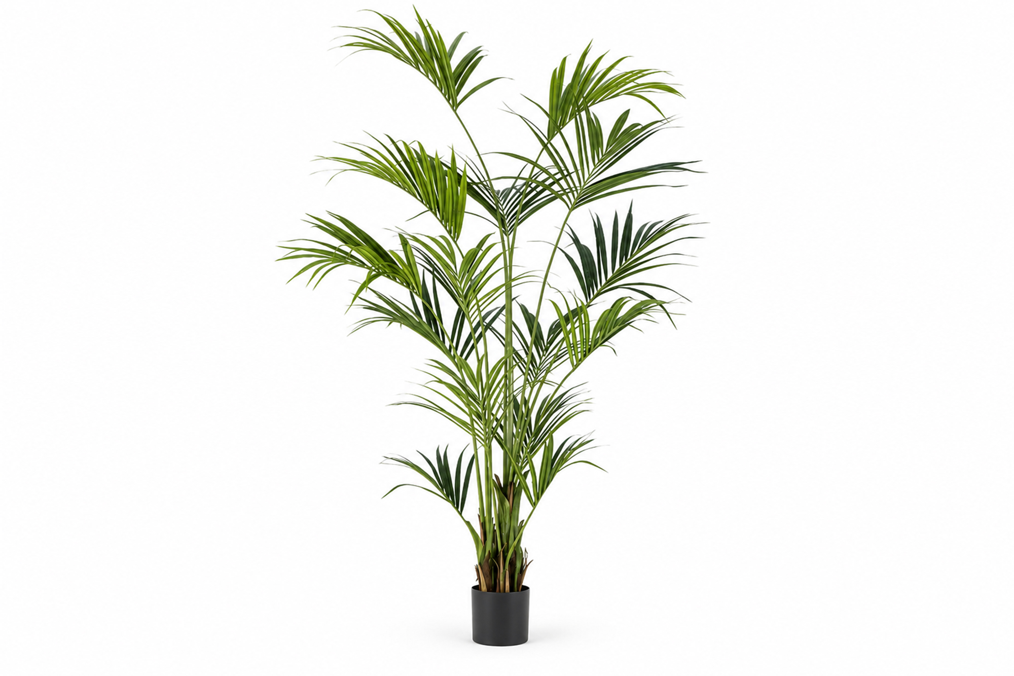 Kunstig Kentia Palme 240 cm