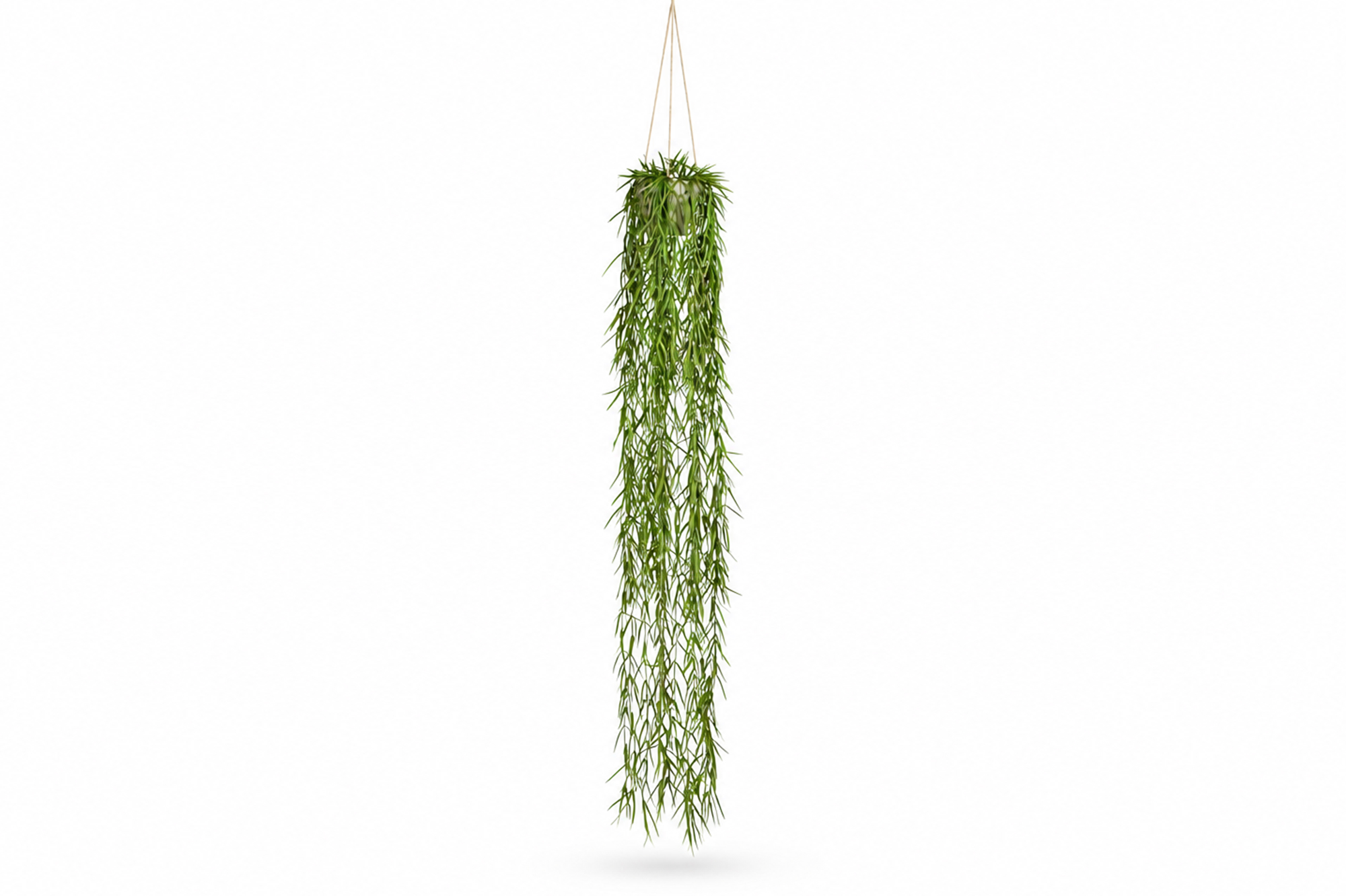 Kunstig Tillandsia Aeranthos 120
