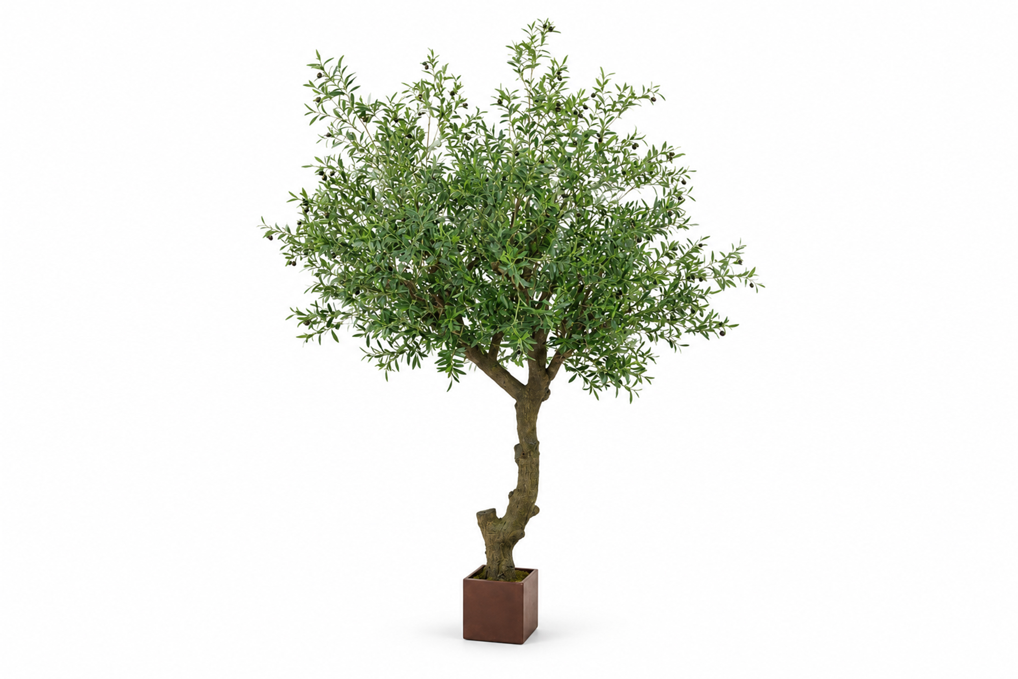 Kunstig Oliventre Gigant m/Oliven 300cm