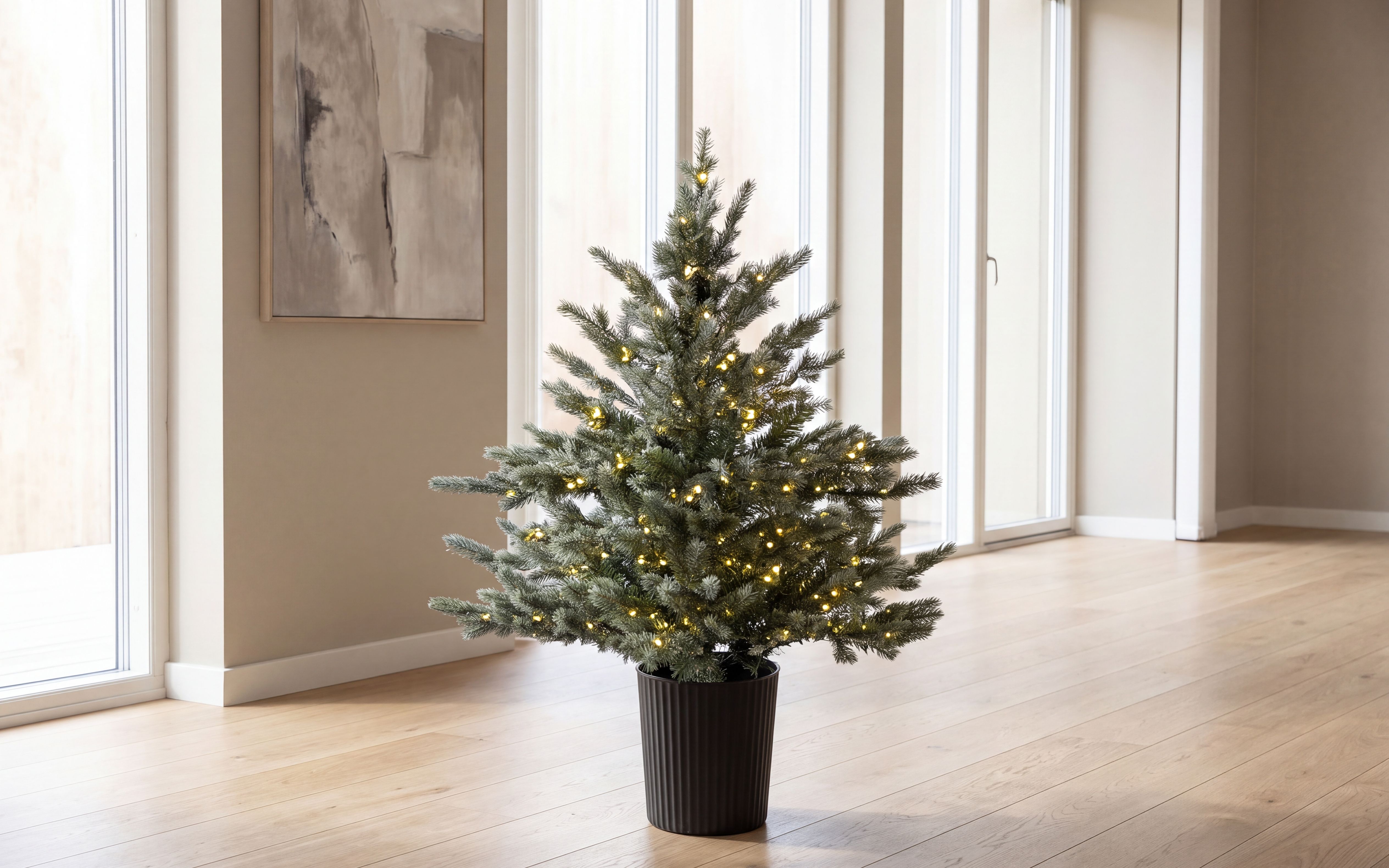 Sølvgran  i potte 90cm