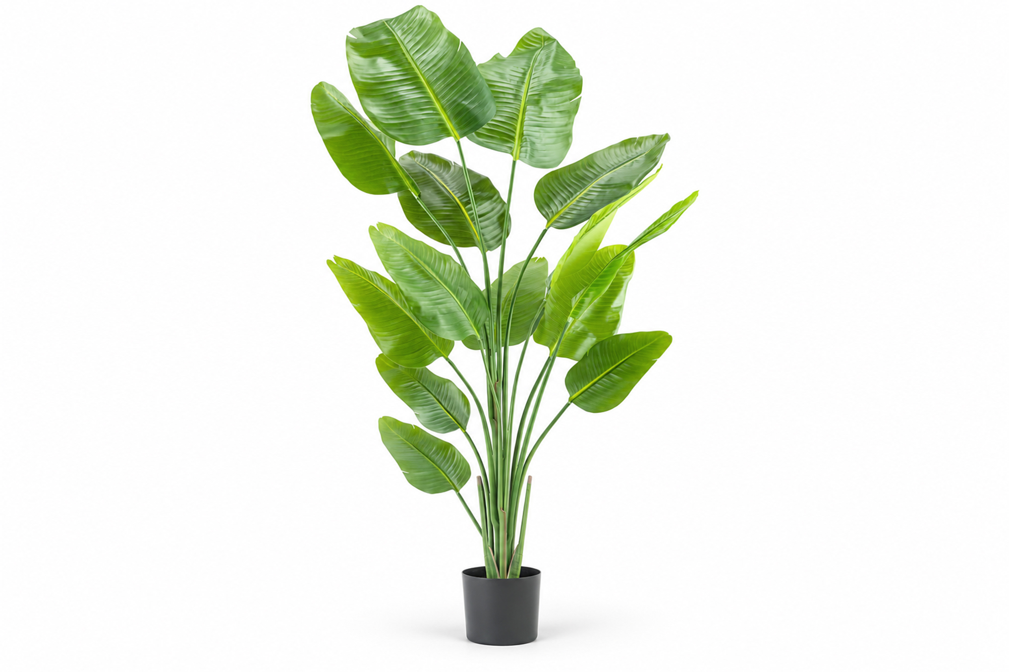 Kunstig Strelitzia Real Touch 180 cm