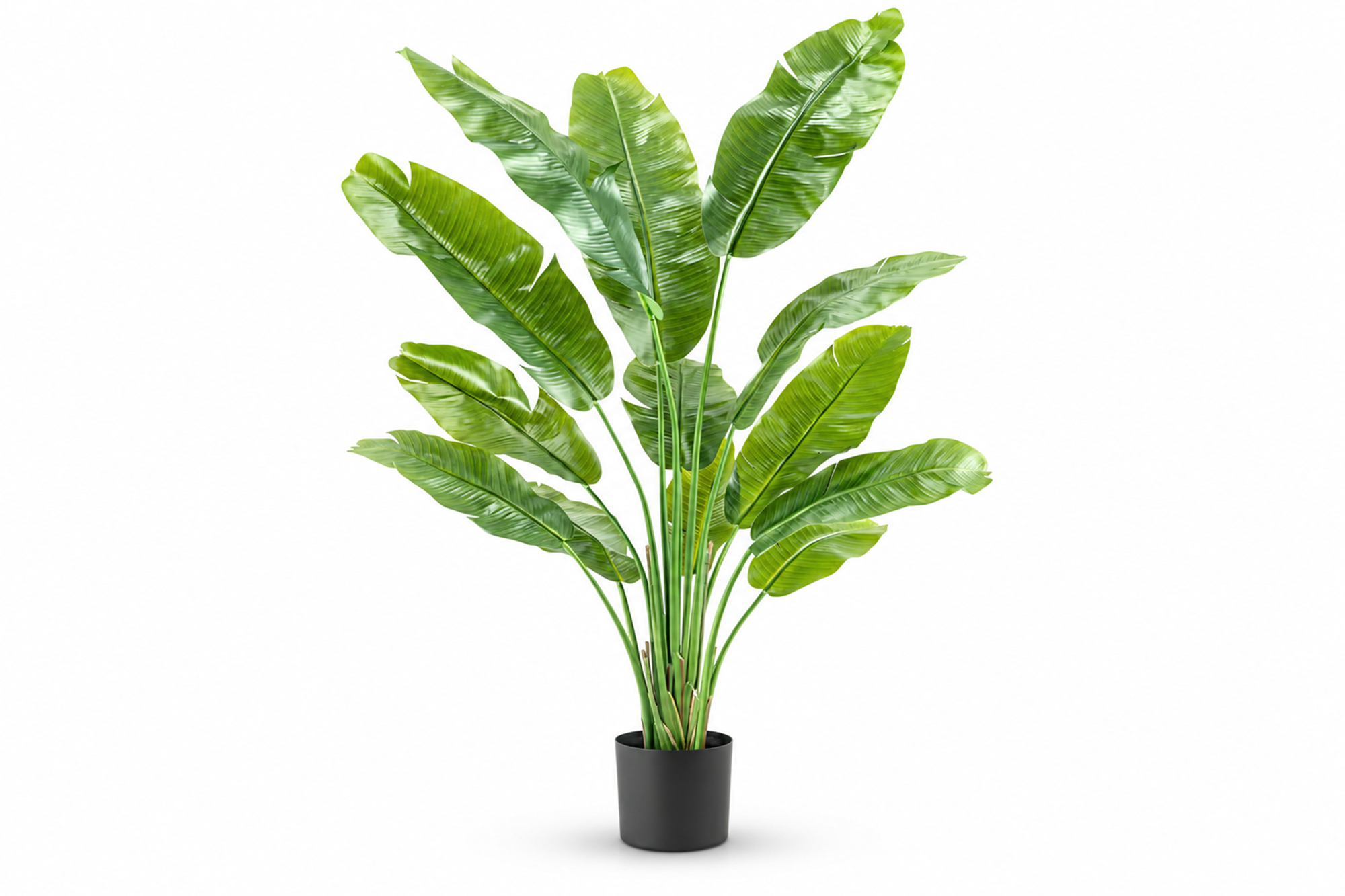Kunstig Strelitzia Nicolai Deluxe 165cm
