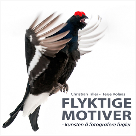 Flyktige motiver